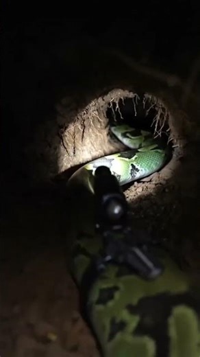 5 Mind-Blowing Facts About "anaconda Pov: Nature’s Giant" You Didn't Know#microcamera #wildlife #ai