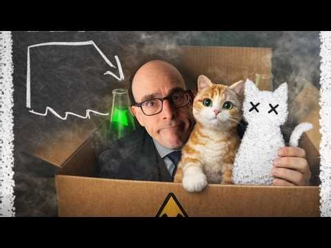 Everything you need to know about Schrödinger's cat