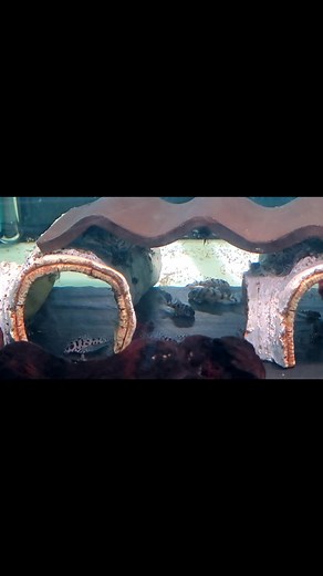 Sevilla Discus on Reels