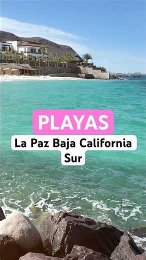 La Paz Beaches: Watch Out for Stingrays ⚠️🌊