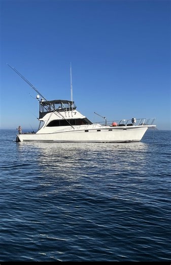 Used 1986 Egg Harbor Sportfish, 93001 Ventura - Boat Trader