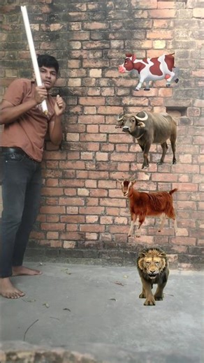 cow,, buffalo,, goat,, lion VFX magic //youtubeshorts#trending#shorts#funnyshortsfeed#comedy
