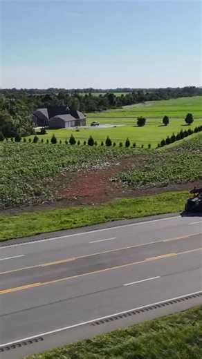 731 reactions · 51 shares | Check out the incredible hook-shaped...