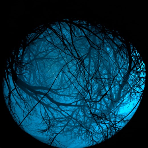 Inversion_of_imagination