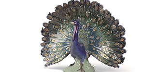 Bird of The Gods: How The Peacock Got His Feathers
