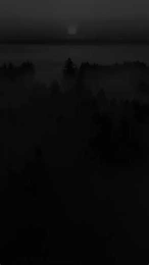 #jeta #virał #viralditiktok #viralvideo🔥 | volkswagen jetta