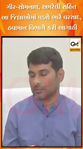 2.4K views · 43 reactions | ગીર-સોમનાથ, અમરેલી સહિત આ જિલ્લાઓમાં પડશે ભારે વરસાદ, હવામાન વિભાગે કરી આગાહી #gujaratmirror #gujarat #girsomnath #amreli #moonsoon | Gujarat Mirror News | Facebook