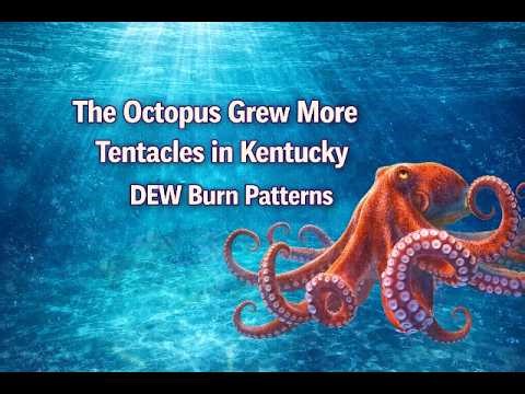 The Octopus Grows More Tentacles in Kentucky, Organized Crime | DEW Patterns on Windshield