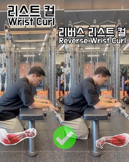 전완근 운동의 대표 동작인 리스트컬과 리버스 리스트컬 Wrist Curl, Reverse Wrist Curl