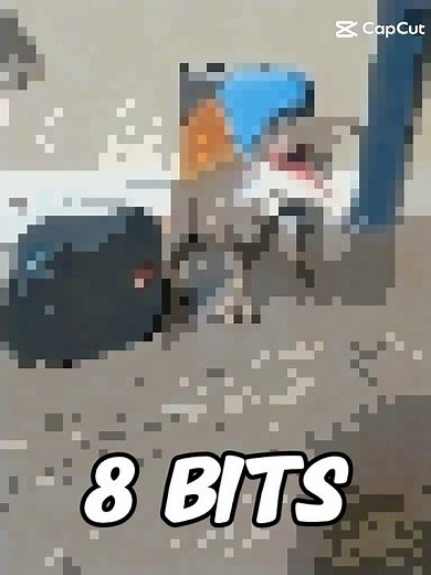 64 bits- 32 bits- 16 bits- 8 bits- 4 bits- 2 bits- 1 bit- 1/2 bits- 1/4 bits- we ytsruyfer