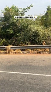 737K views · 29K reactions | Road To Senegal  Un G en Action  #Kedougou #Parkniocokoba #terangatrailtrophy | G-Riders Moto Club | Facebook