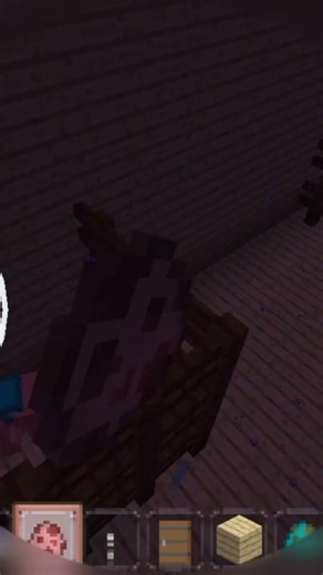 zoo is a full complete #minecraft #shorts