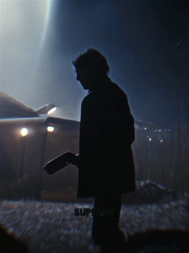 Understanding Penguin Behavior in Their Natural Habitat