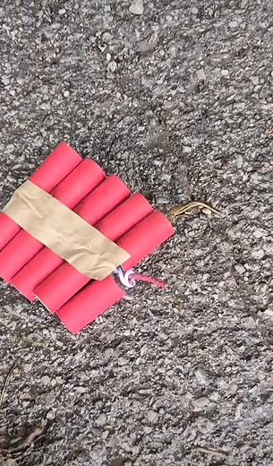 31K views · 253 reactions | Cracker Vs Jungle #cracker #firecracker #fireworkdisplay #firework #fireworks #diwalihampers #experiment #diwali #crackers #shorts | Fireworks Videos | Facebook