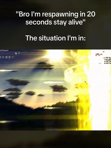 Definetly The Craziest Bossfight I've ever seen #terraria #terrariamemes #empressoflight #bossfight #bossmusic