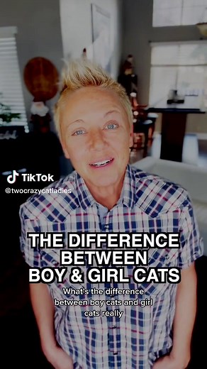 Boy vs Girl Cats: Understanding the Gender Differences