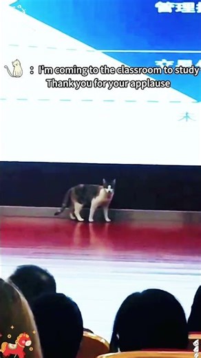 Unexpectedly Funny Pet Videos