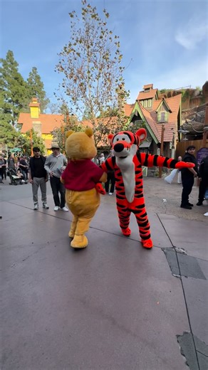 Joanne Valdez Thomas Roberson on Instagram: "Tigger you’re the most wonderful thing Wednesday, January 28th, 2026 🐯 #tigger #winniethepooh #ttfn #100acrewoods #disneyland"