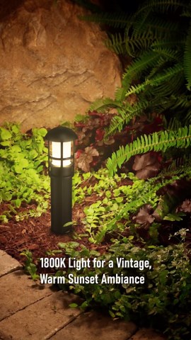 LEONLITE 12-Pack 5CCT Low Voltage Landscape Pathway Lights 3W Landscape Lighting 12-24V LED Bollard Path Lights Wired CRI 90+ Aluminum Pathway Lighting for Walkway Yard Garden, ETL Listed, 1800-5000K