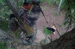 Tim Wells, a Legend with Sticks and String, Lets 'Er Fly in This Incredible Video