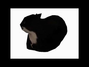 Maxwell the Cat Theme 2 hour