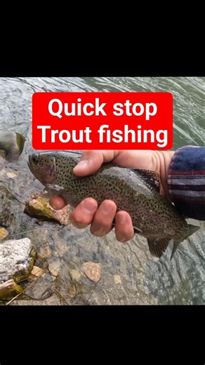 Quick stop for trout fishing