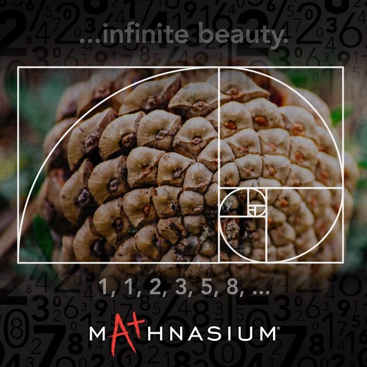 Happy Fibonacci Day!  In this video, we share the beauty of the Fibonacci sequence. It’s not just numbers — it’s the pattern behind spirals, pinecones, sunflowers, and even galaxies.  Want to explore more? Check out this blog for a fun breakdown of this famous pattern:  bit.ly/3Xbgvwc #Mathnasium #FibonacciDay #MathInNature #MathFun | Mathnasium of Basking Ridge | Facebook