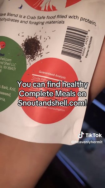 Healthy Hermit Crab Diet for Happy and Active Pets