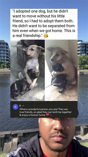 He refused to leave his best friend so they both got adopted #dogs