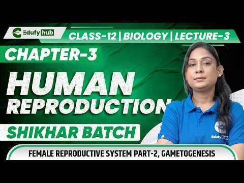 🌸 Class 12 Biology Chapter 3 Human Reproduction Lecture 3 Female System & Gametogenesis