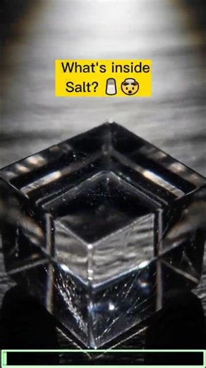 What's ACTUALLY inside a Grain of Salt? 🧂🤯 - Macro Dive #macrodive