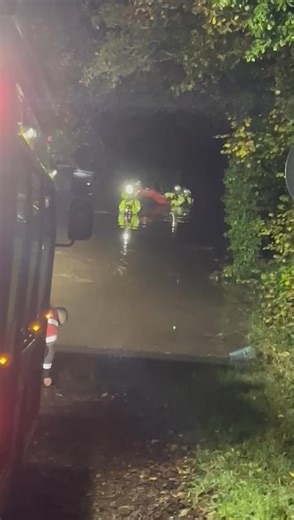 294K views · 685 reactions | The fire brigade along with Many Tears staff rescuing dogs that were unable to get to higher ground during the floods. | Many Tears Animal Rescue | Facebook