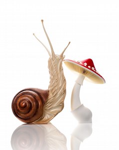 Sometimes the most interesting techniques are found in the most basic designs. Introducing for the first time my new toy #watercut used to cut the gills of the chocolate mushroom, I cannot wait to see what design I can create next with this equipment. Have you ever tried snail? 😄 | Amaury Guichon
