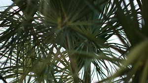 45 reactions · 3 comments | Presentamos el SRAM Force eTap AXS. Explorar nuevos horizontes nunca había sido tan fácil. | SRAM road | Facebook