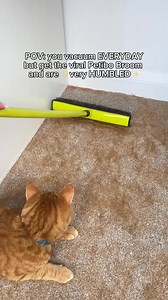 1.4M views · 5.8K reactions | Pet hair and Christmas don’t mix  Clean it up fast with this viral broom.  Get yours here: https://petsyonline.com/products/petsy-hair-removal-broom | Petsy Online | Facebook