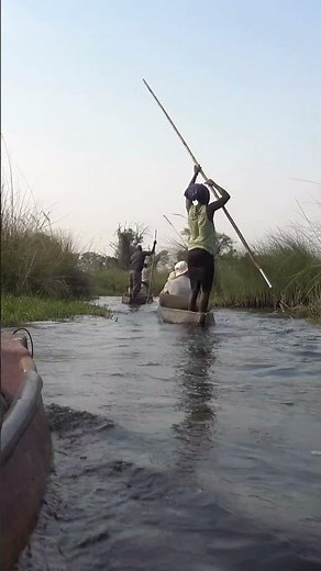Botswana Okavango Delta #okavangodelta #botswana #greatestafrica