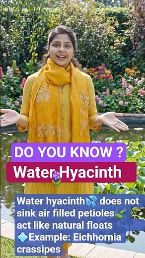 Water hyacinth 💦 Do you know ? Eichhornia crassipes #conceptclarity #class11biology