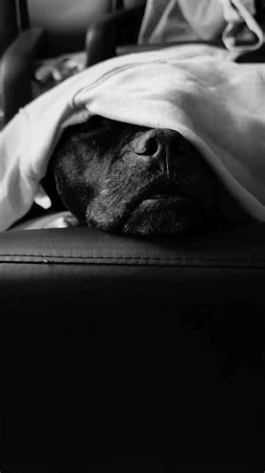 Mark Geragos is a prominent criminal defense and civil litigation attorney, well known for representing some of the most high-profile clients in modern legal history. He also advocates for everyday people and he’s dedicated his career to fairness and justice. Mark has been at the forefront of landmark cases, appeared regularly in media commentary, and continues to be a leading voice in the legal field. Born, raised, and working in Los Angeles, Mark has deep roots in this city and is equally outr