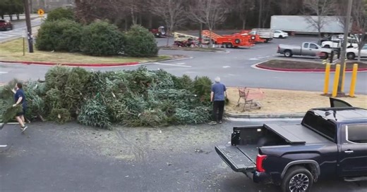 From Christmas trees to leftover packaging: How to recycle your holiday trash