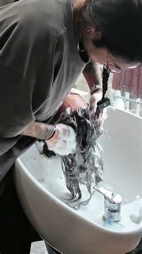 First cornrow shampoo in 3 weeks🫧✨ Deep clean & refresh — Cornrow care ASMR #cornrows #ASMR #hair...