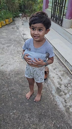 1.1M views · 17K reactions | How my kitty sleeps  #cute #cat #baby #catlovers #babylovers #lovecats #meow #kat #babygirl #kitty | Andaman Baby | Facebook