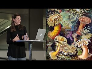 Amazing Anemones - AMNH SciCafe