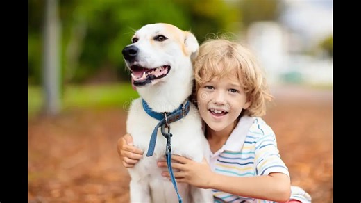 friendship between a lonely boy and a loyal dog.