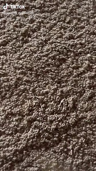 Rodan’s a bird to sooooo. #godzilla #ghidorah #mothra #rodan #shmonsterarts #toho #legendary