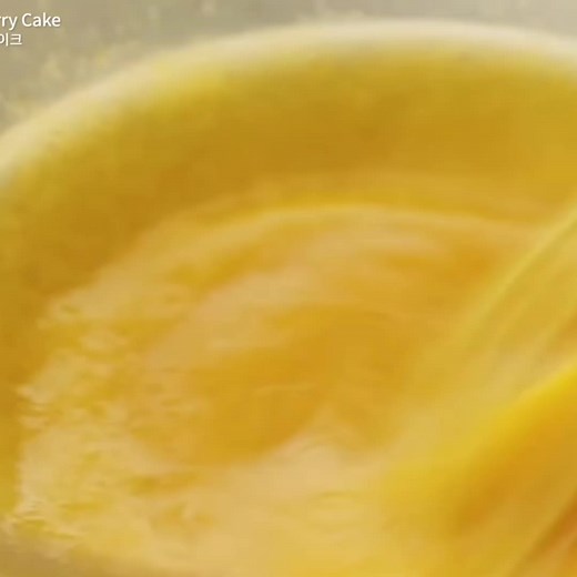 Shutline Animation Video Completo