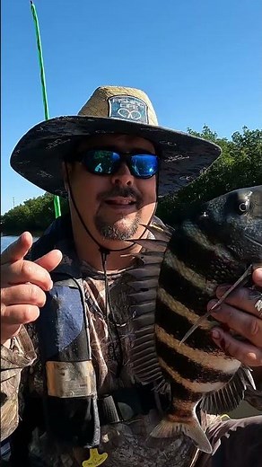 Fishing for Sheepshead ‪@Scubastevetampabay‬