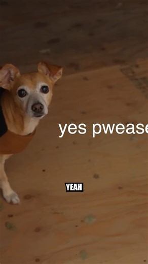 The Devil is Back! | Jenna Phipps