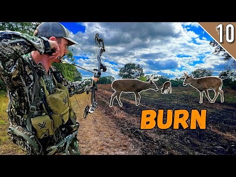 BOW HUNTING a fresh BURN 🔥 (Public Land Deer Hunt)