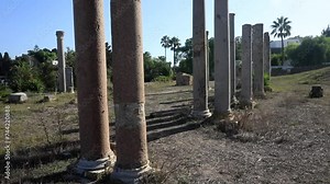 Rustic ruins of Roman columns in Carthage, Tunisia, with scattered artifacts on sunlit dry grass
