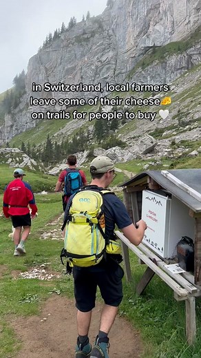 Interesting Facts About Swiss Cheese & Swiss Farming